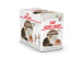 Royal Canin Ageing 12+ Pouch In Gravy 85g