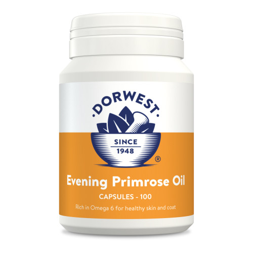 Dorwest Herbs Evening Primrose Oil Capsules (100)