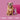 Barking Heads All Hounder Golden Years Chicken