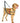 Halti Training Lead Small Black