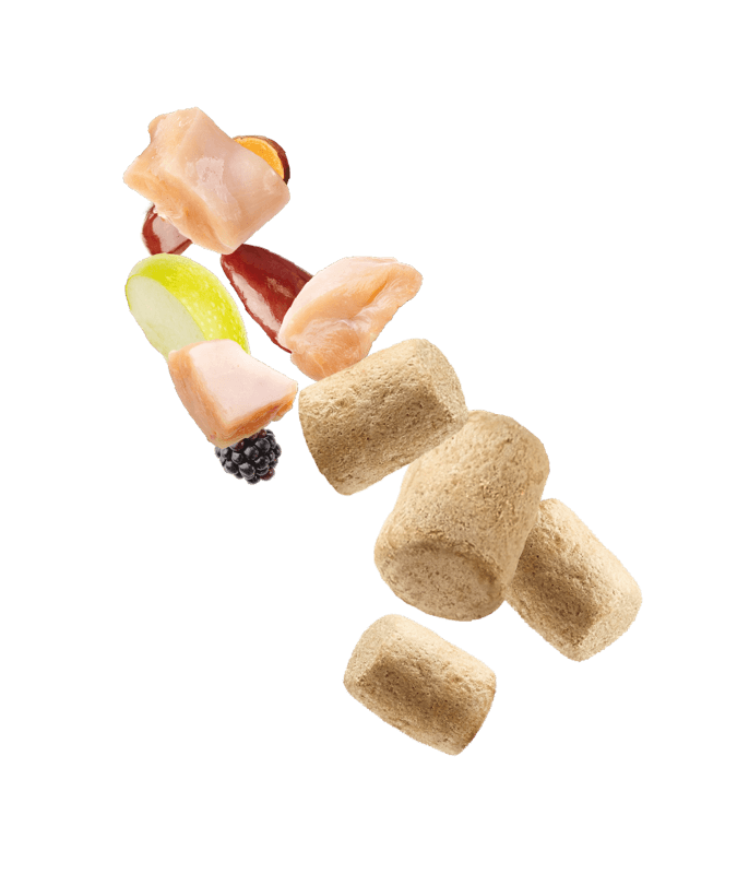 Vets Menu Topper Natures Menu Freeze Dried Toppers Chicken 15g – Fin & Fur