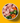 Nutriment Core Complete Turkey 1.4kg