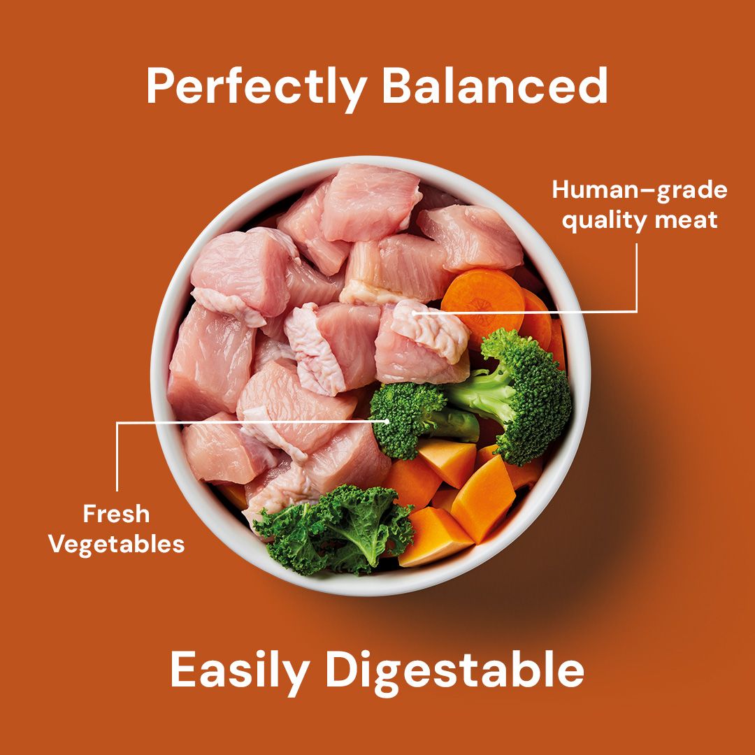 Core Complete Nutriment Core Complete Turkey 500g – Fin & Fur