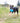 KONG Jumbler Football Large/X-Large