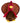 Mini Tina Turkey