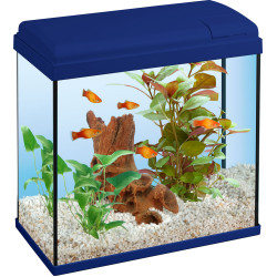 My First Fish Tank